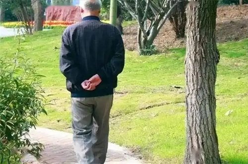 图片细节
